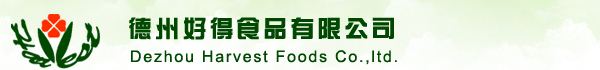 欧冠买球官方网址